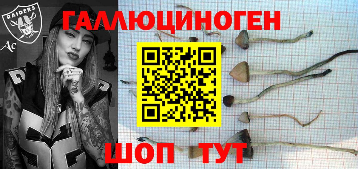 Галлюциногенные грибы Psilocybe Партизанск